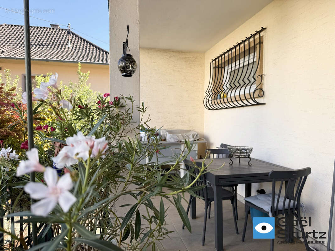 Appartement 135 m² à Illkirch-Graffenstaden  - photo 2