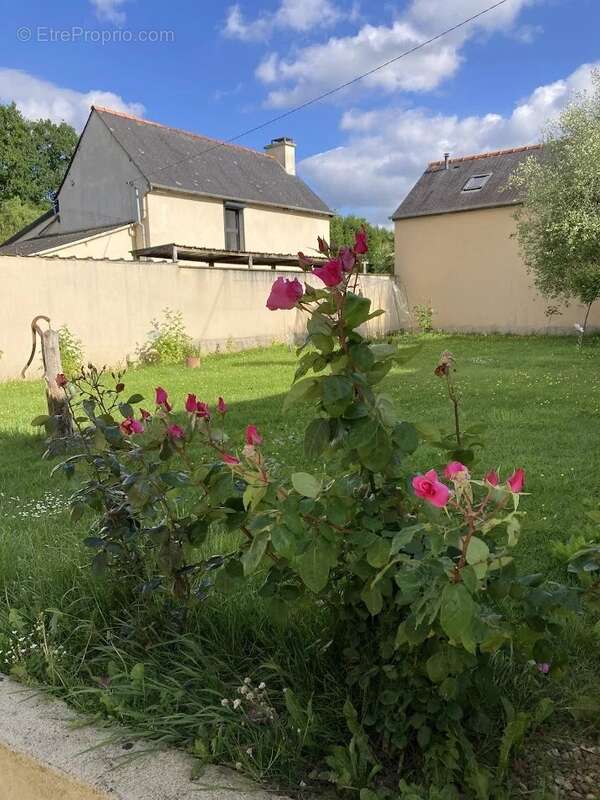 Maison à EVRAN