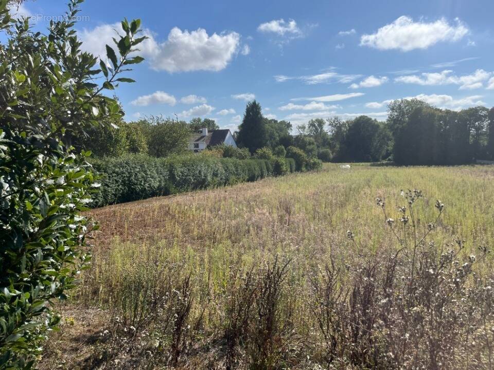 Terrain à EPAGNE-EPAGNETTE