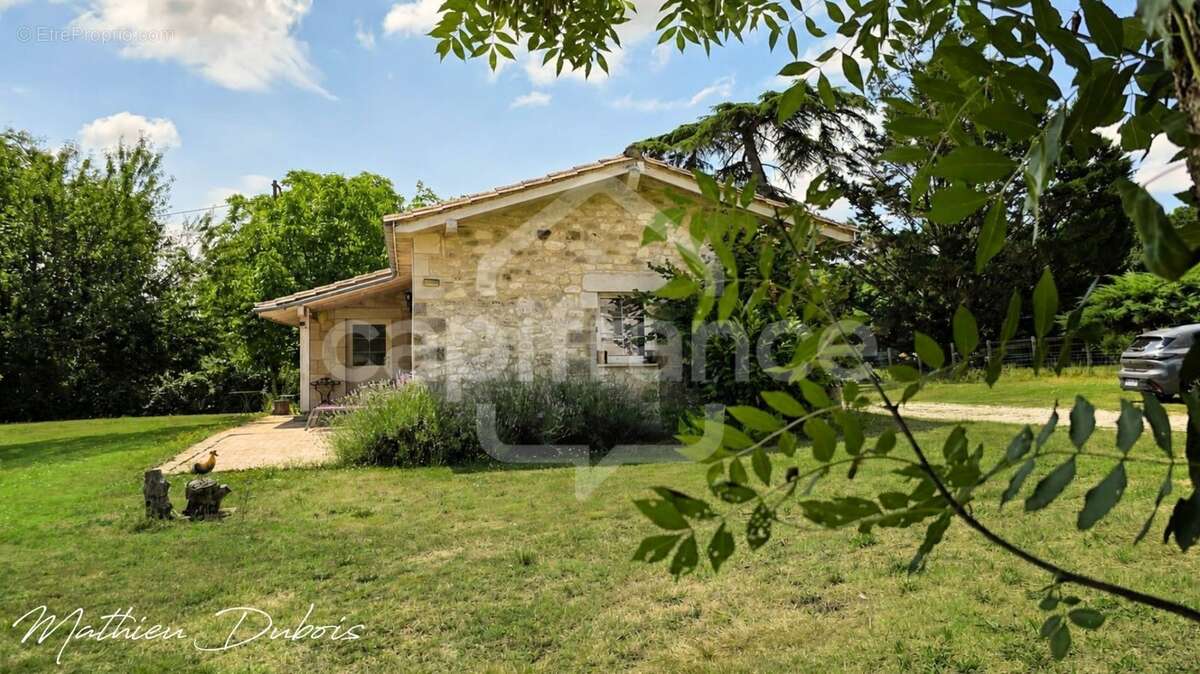 Un domaine de caractère proche d’Eymet avec installations équestres, gîtes et studio yoga/bien-être - photo 15