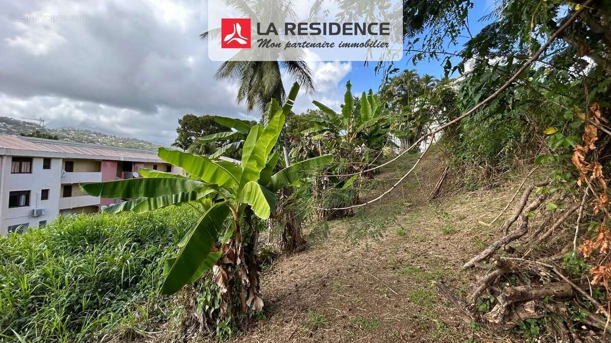 Terrain à FORT-DE-FRANCE