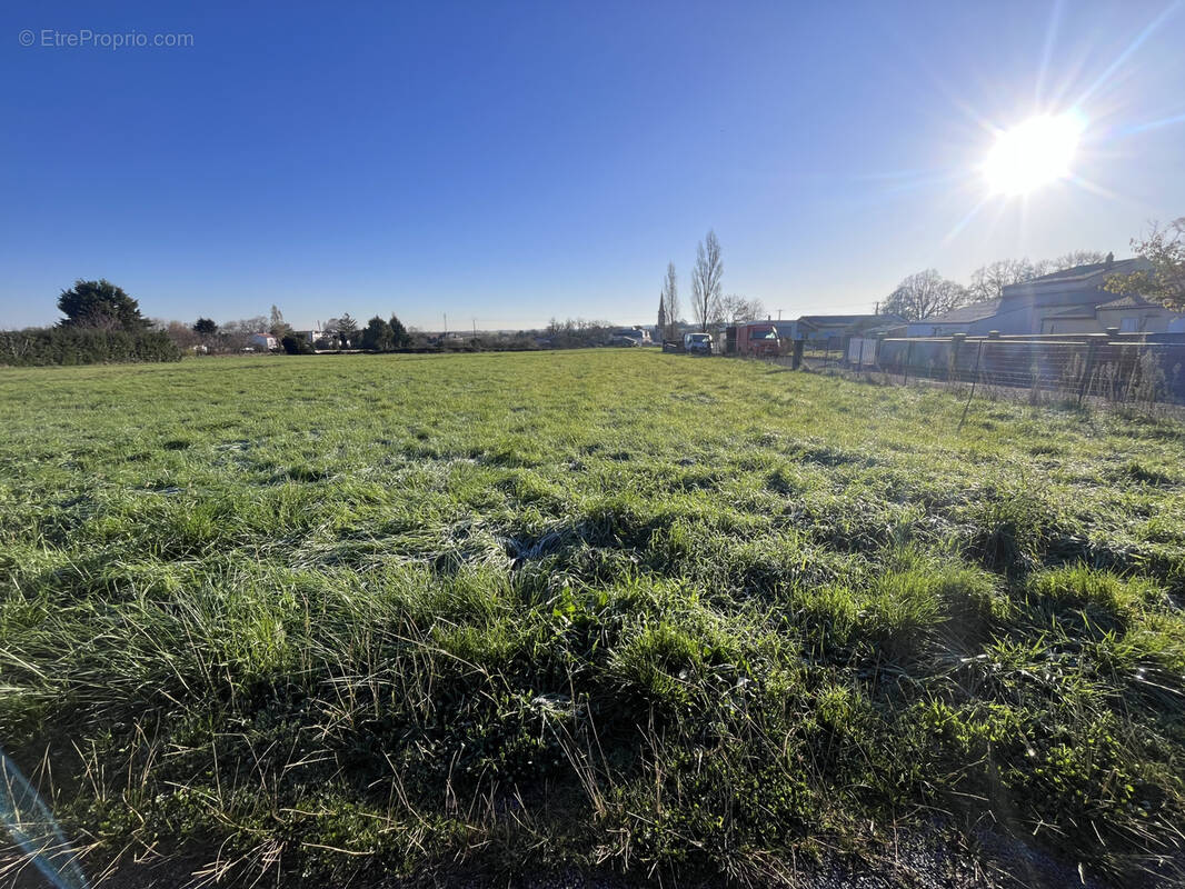 Terrain à MORTAGNE-SUR-GIRONDE
