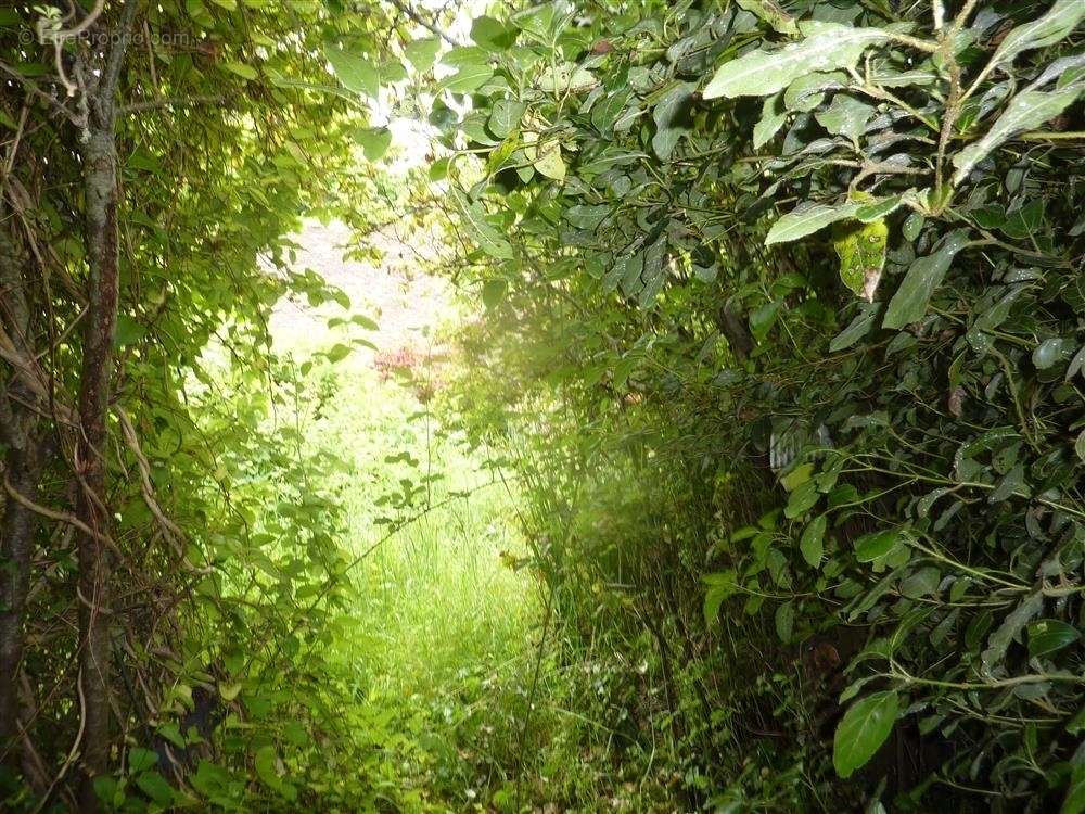 Maison à LASSAY-LES-CHATEAUX