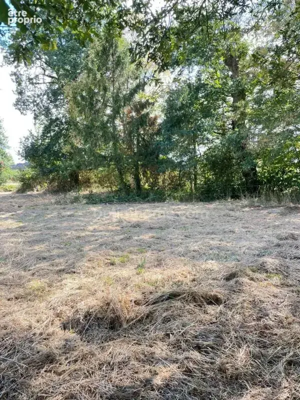 Belle opportunité ! Terrain de 1 606 m² avec large façade PLOERMEL (56) - photo 6