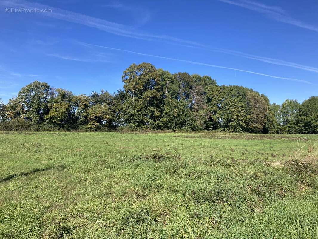 Terrain à LA COQUILLE