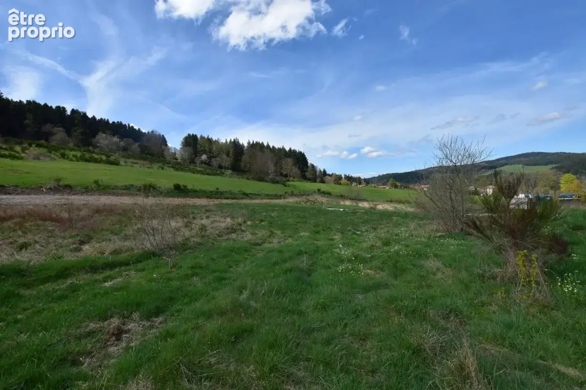 Terrain viabilisé à vendre de 911,00 m² DUNIERES (43), vue dégagée, belle situation - photo 4