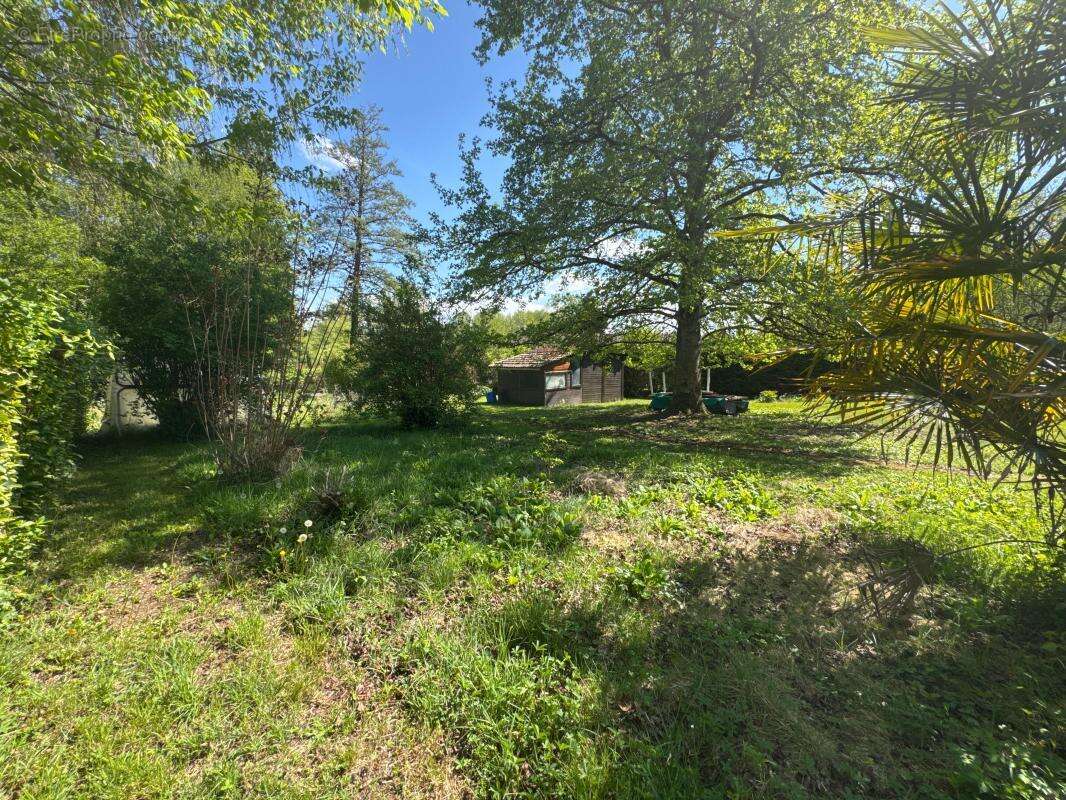 Terrain à SAINT-ROMAIN-DE-JALIONAS