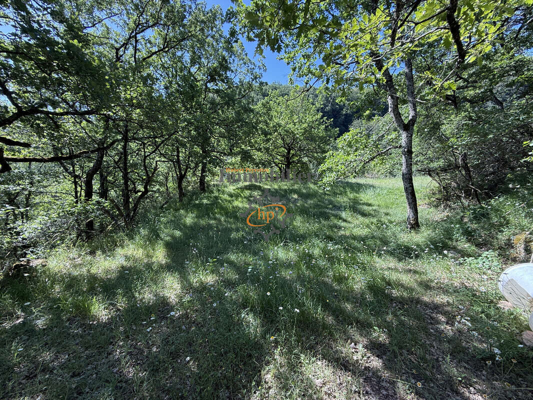 Vente Mazet Versols et Lapeyre, 1,25 hectares de terrains - photo 17