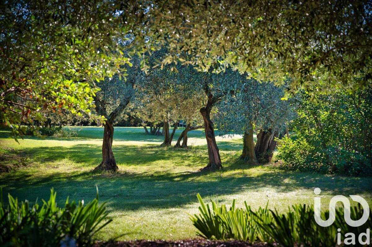 Photo 4 - Maison à MONTAREN-ET-SAINT-MEDIERS