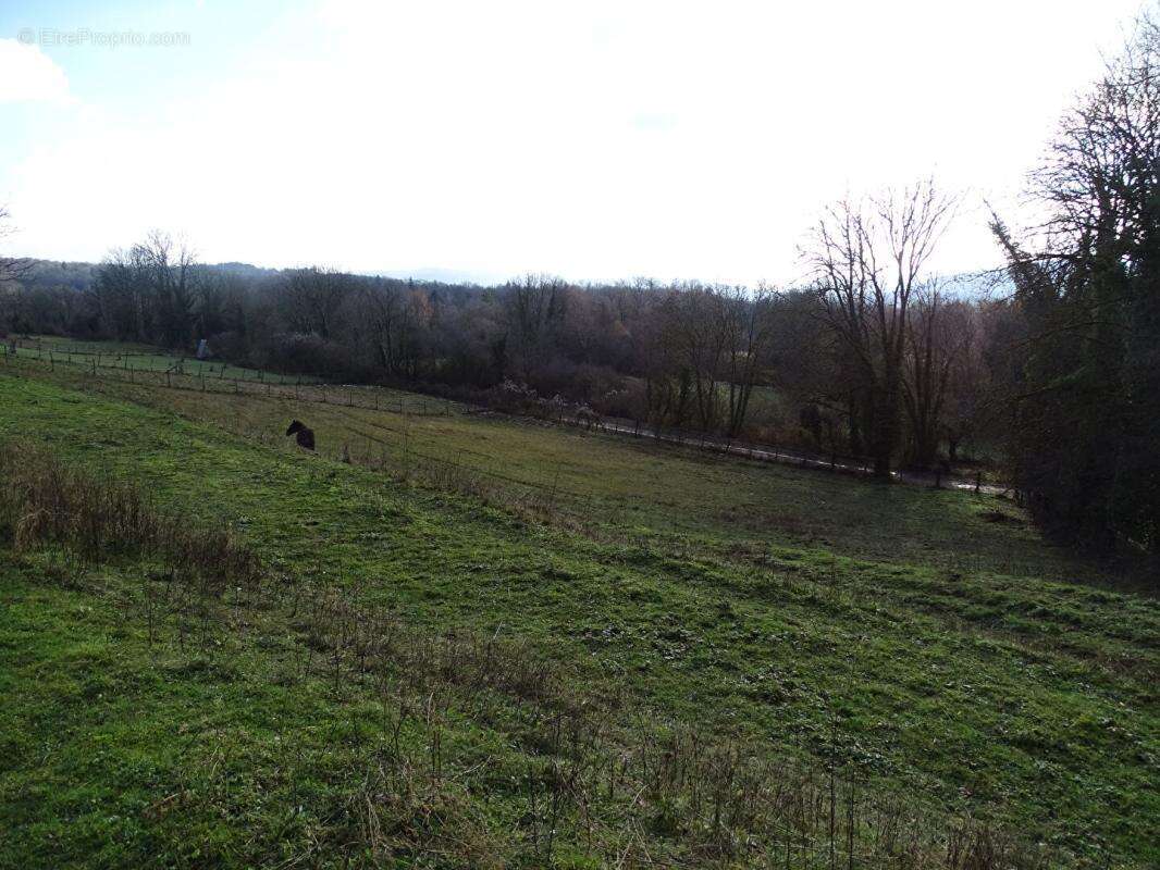 Terrain à CHARCHILLA