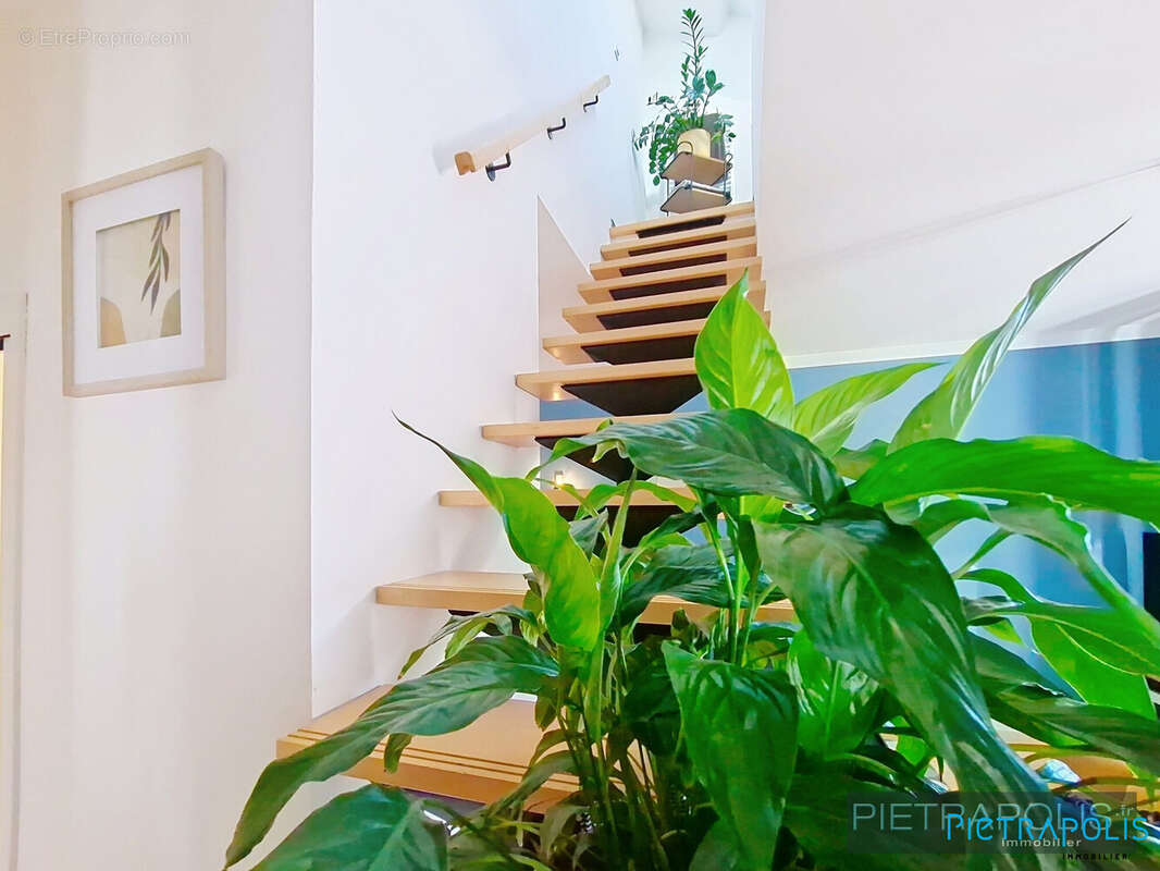 Appartement à TARARE