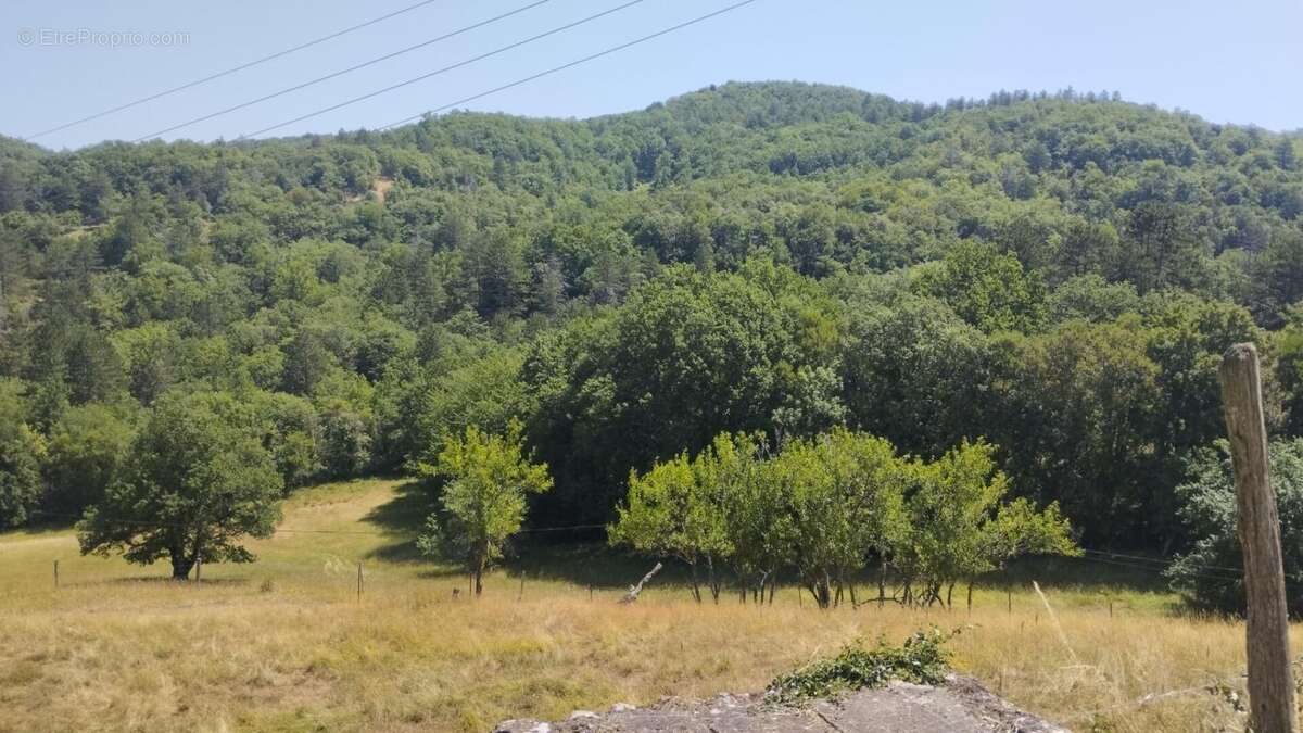 Rare ! propriété coup de coeur ! - photo 4