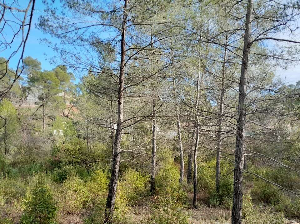 Terrain à BRIGNOLES