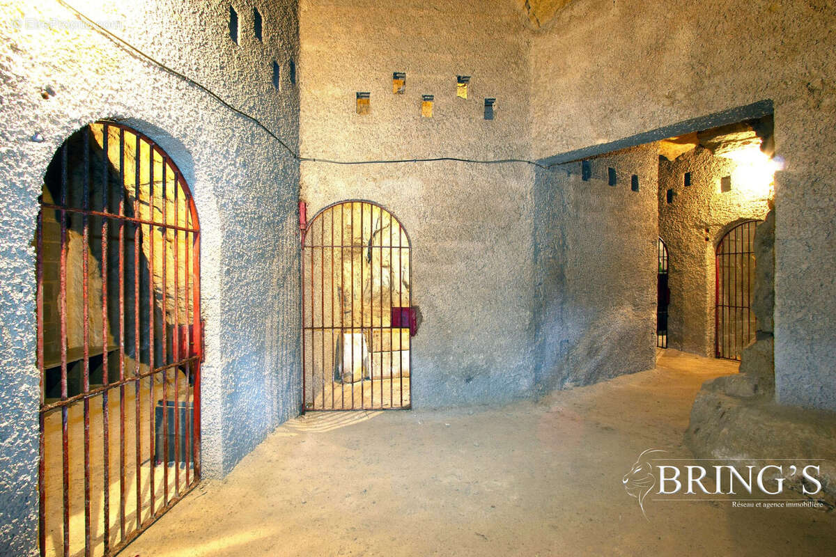 Maison à SAINT-NICOLAS-DE-BOURGUEIL