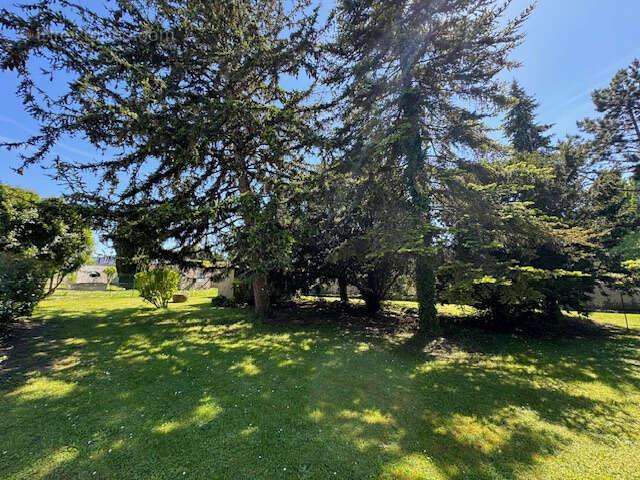 Maison à SAINT-MEDARD