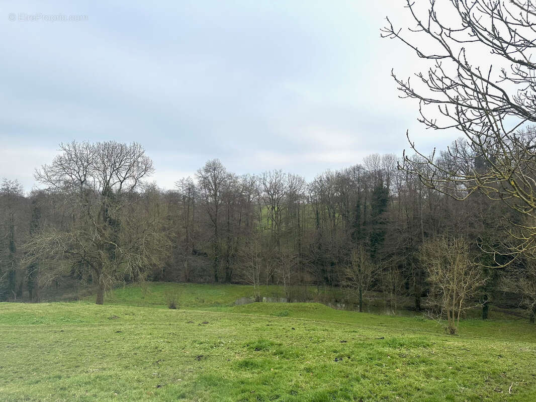 Maison à LES LUCS-SUR-BOULOGNE