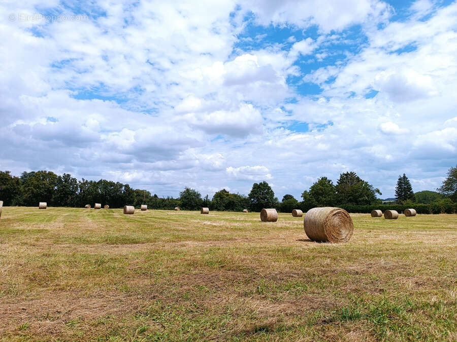 Terrain à OUROUER-LES-BOURDELINS