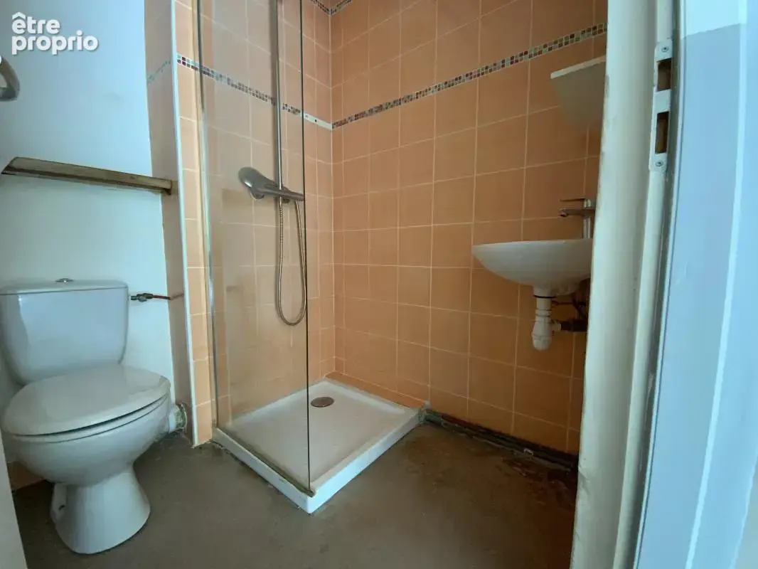 Maison 226 m² à Rilhac-Rancon  - photo 15