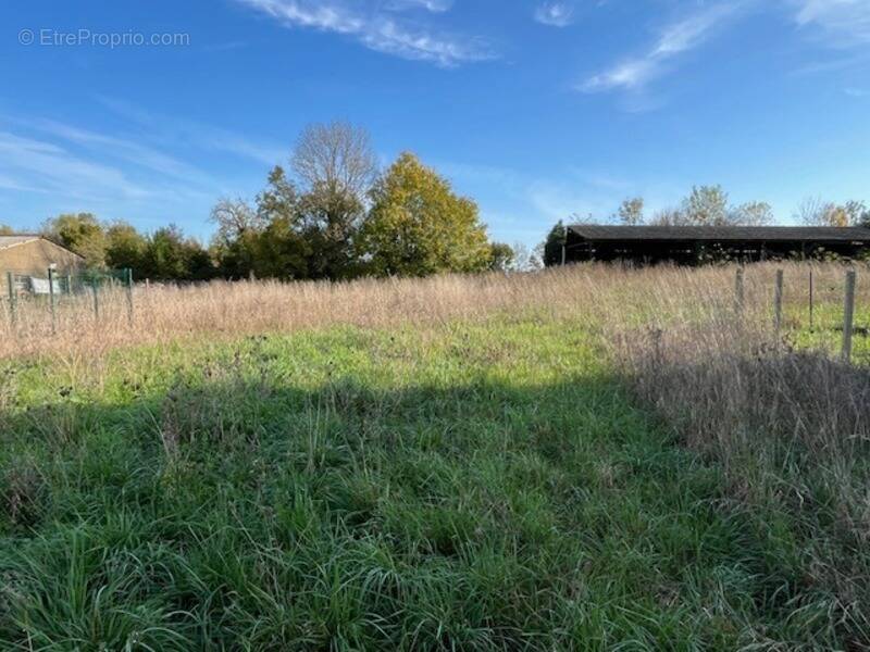Terrain à SAINT-JEAN-D'ANGELY