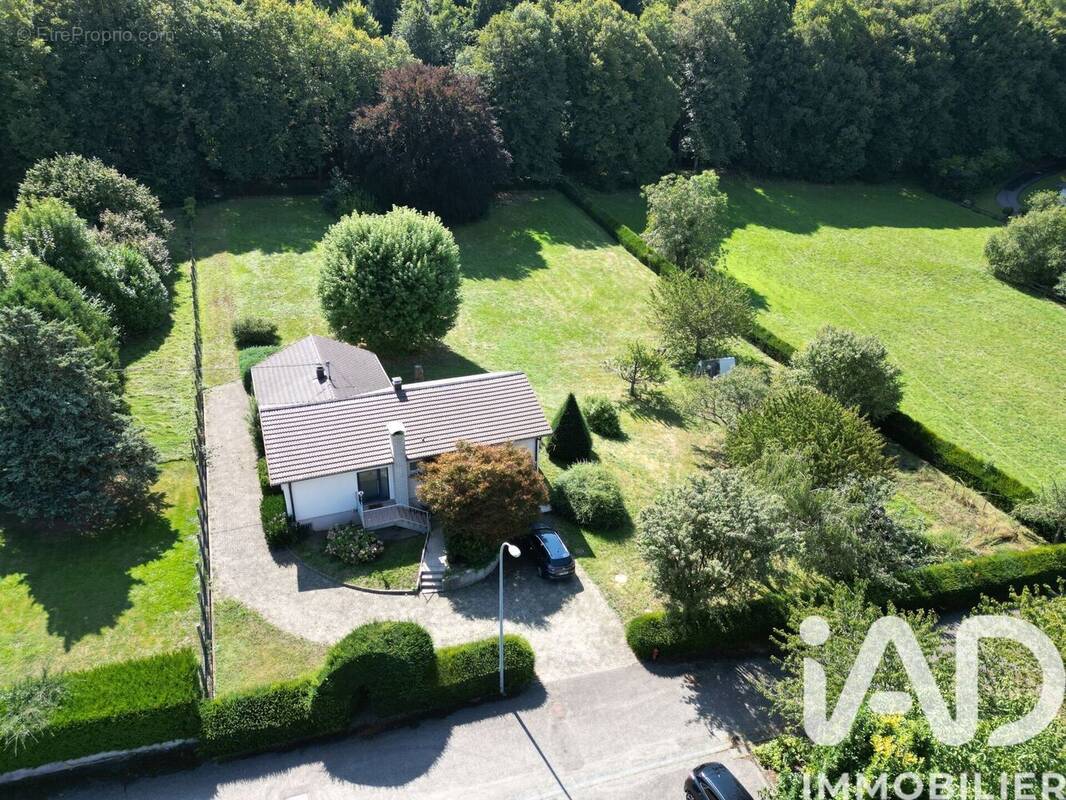 Photo 1 - Maison à FERRETTE