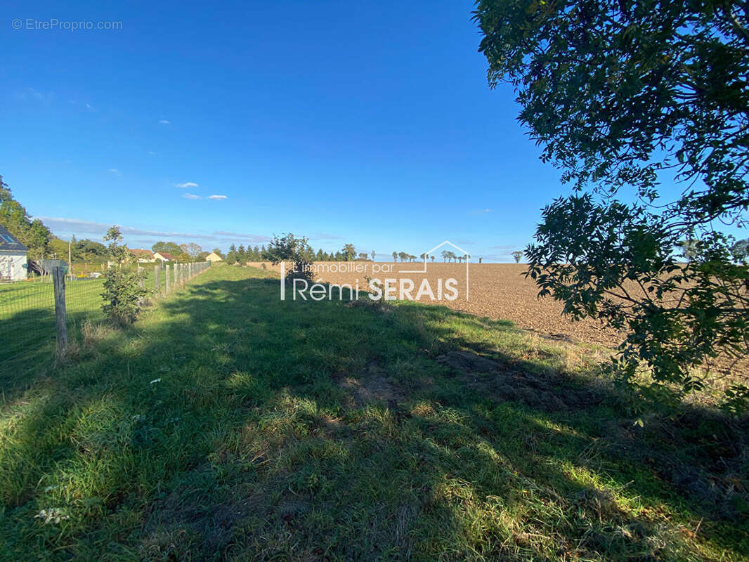 Terrain à SAINT-DENIS-DE-MERE