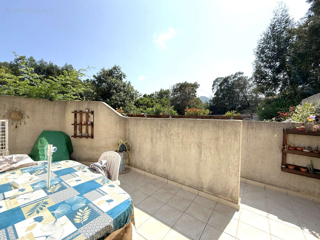 Appartement à SARI-SOLENZARA