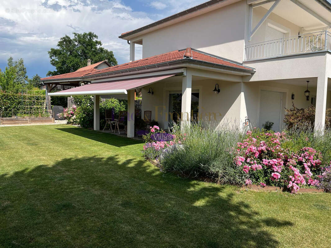 Maison à MESSERY