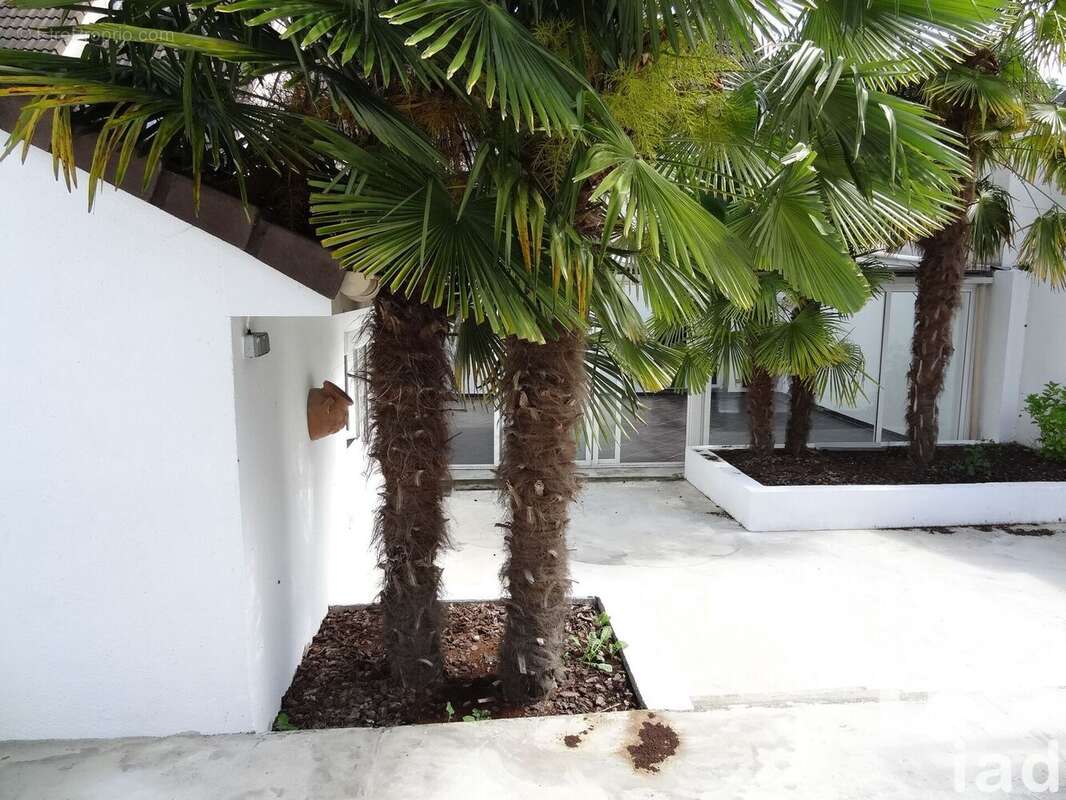 Photo 7 - Maison à VILLEPARISIS