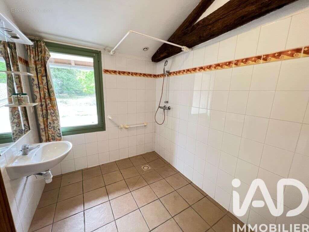 Maison 386 m² à Le Girouard  - photo 9