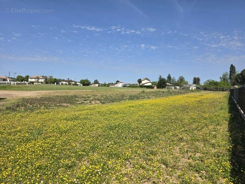 Terrain à VILLENEUVE-SUR-LOT