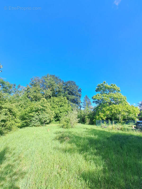Terrain Vulaines Sur Seine 1349 m2 - photo 5