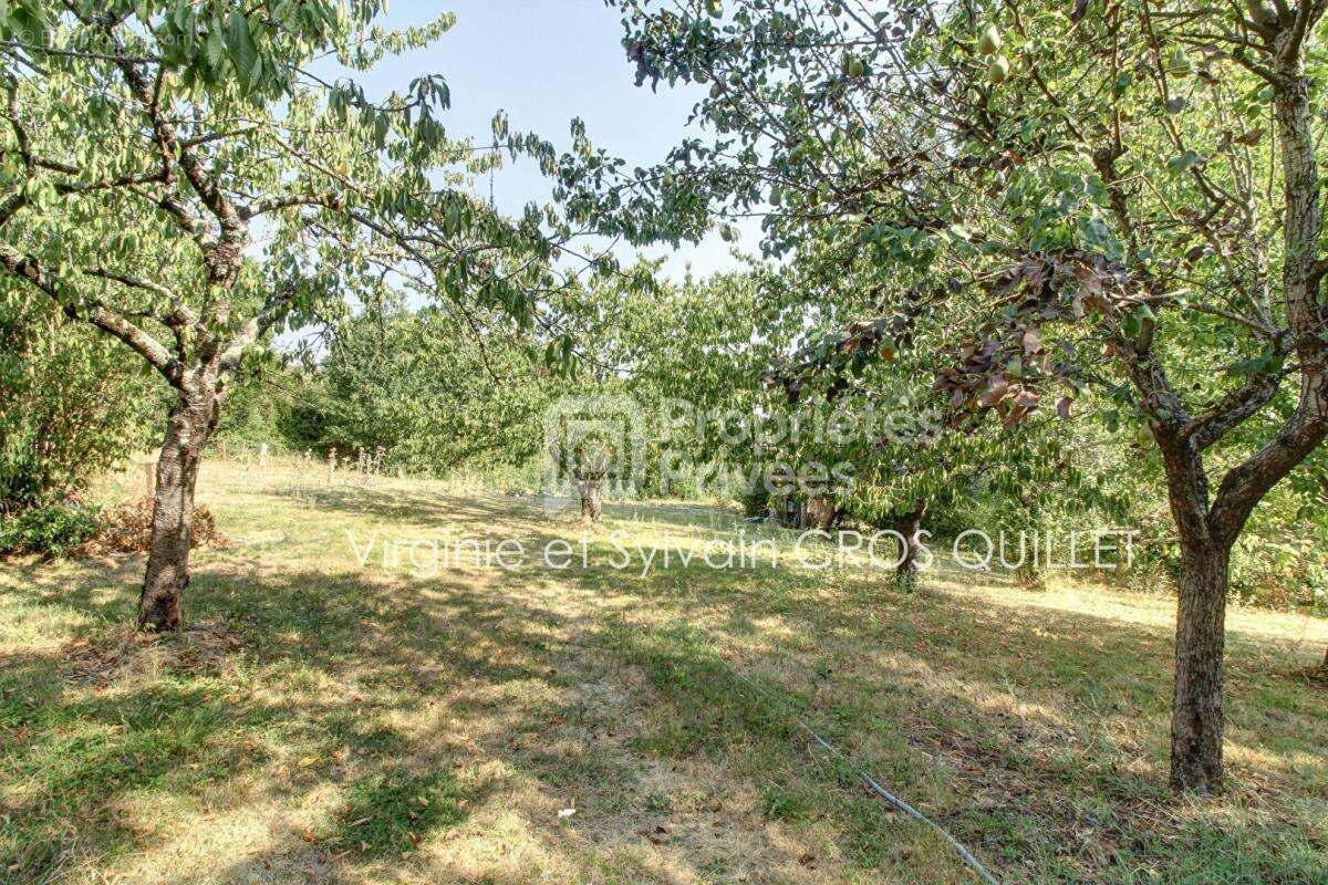 Maison de caractère secteur Lavaur 255 m2 + annexes sur grande parcelle - photo 18