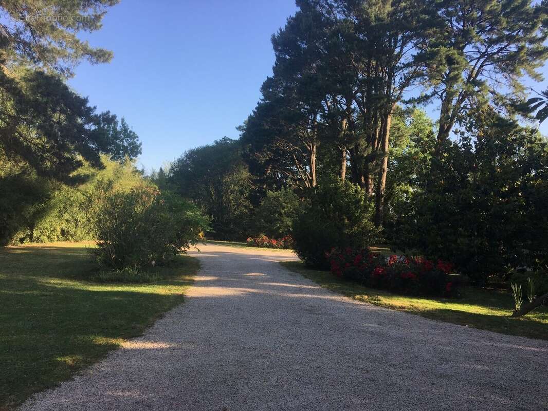 Unique sur Vallet, au coeur de son parc avec chenes centenaires, jolie maison de plain pied. - photo 5