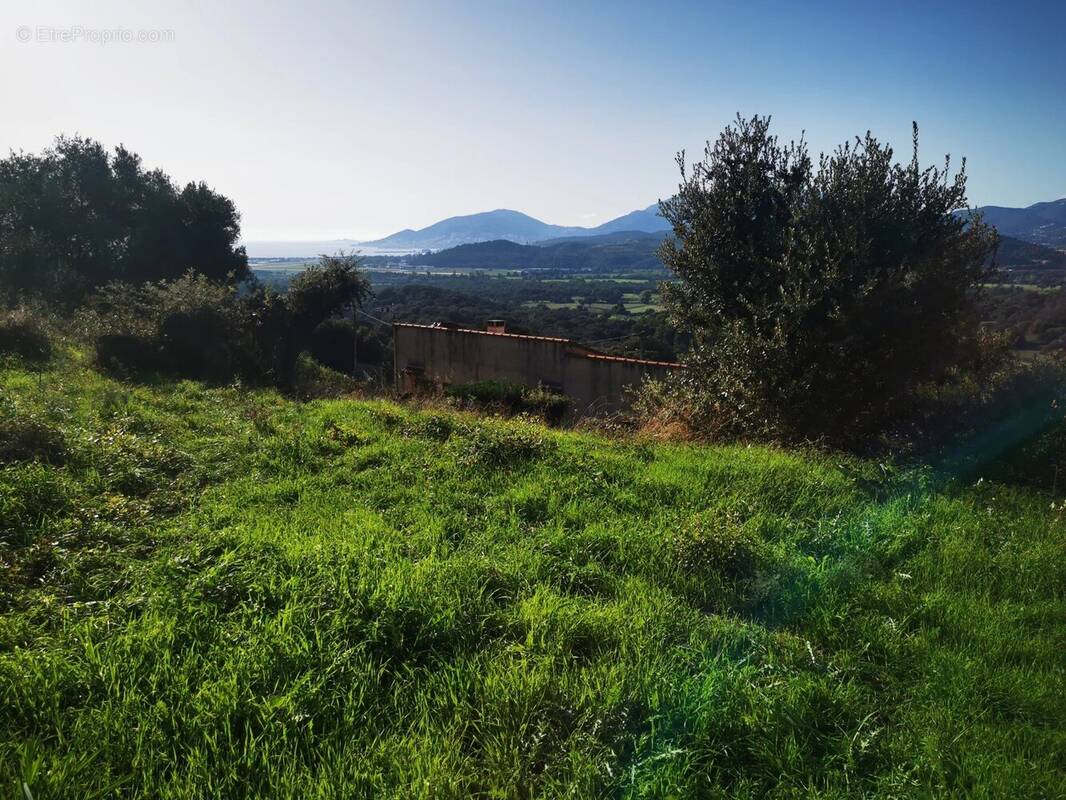 Terrain à BASTELICACCIA