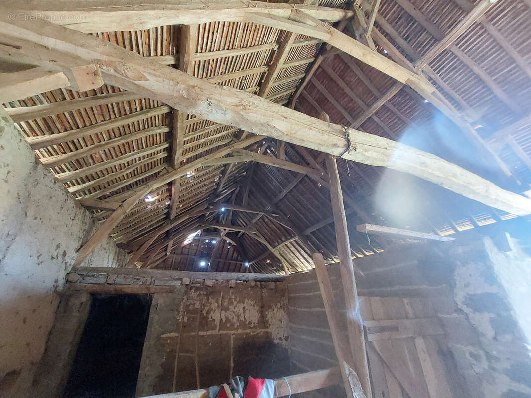 Autre à SAINT-DIDIER-LA-FORET