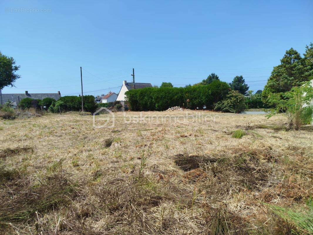 Terrain à LA TURBALLE