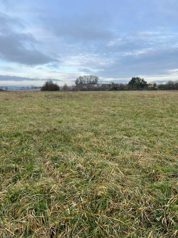Terrain à SAINT-COSME-EN-VAIRAIS