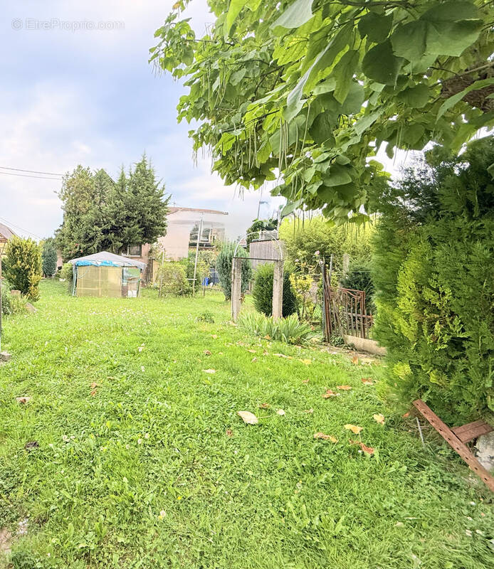 Terrain à LA WANTZENAU