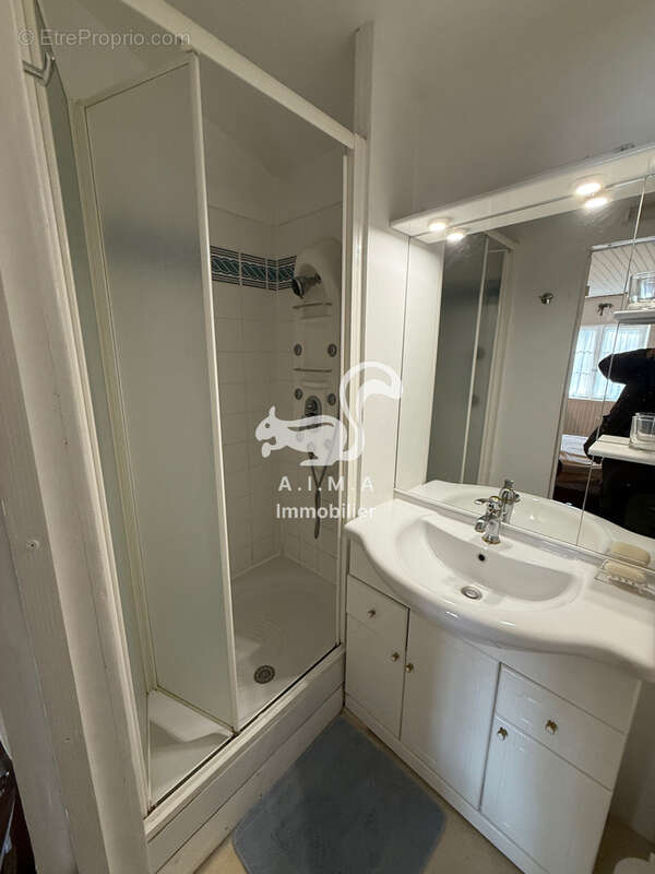 Mios, en quartier sur 5 000m2 de terrain maison avec appartement et grange - photo 13
