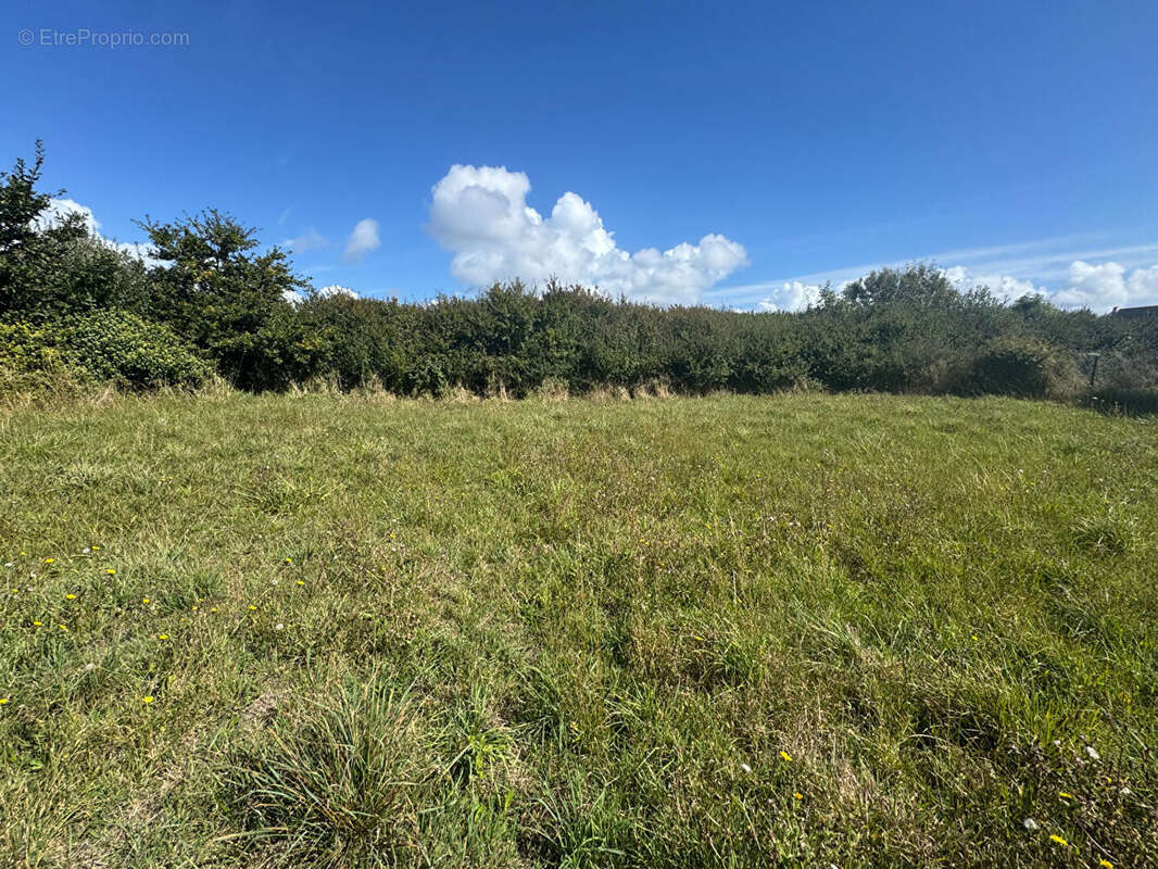 Terrain à CAMARET-SUR-MER