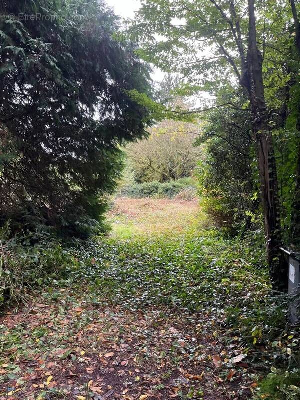 Terrain à PISCOP