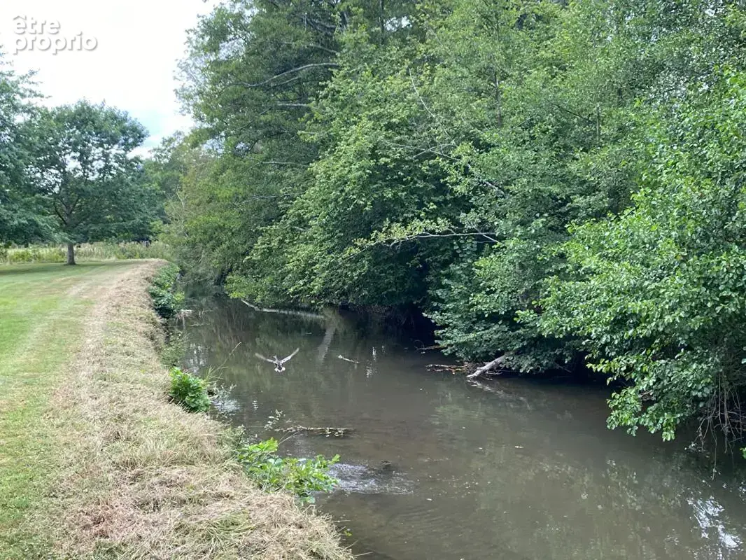 Propiété avec étang et rivière 273 m2 - photo 16