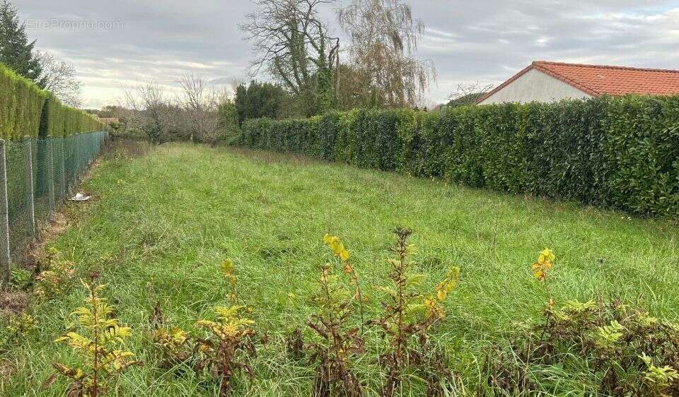 Terrain à SAINT-AUGUSTIN