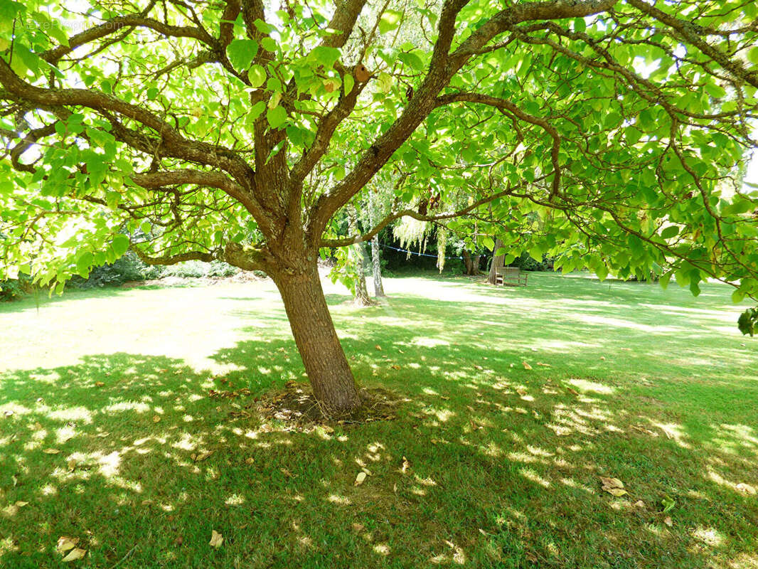 Maison à MONTBARROIS