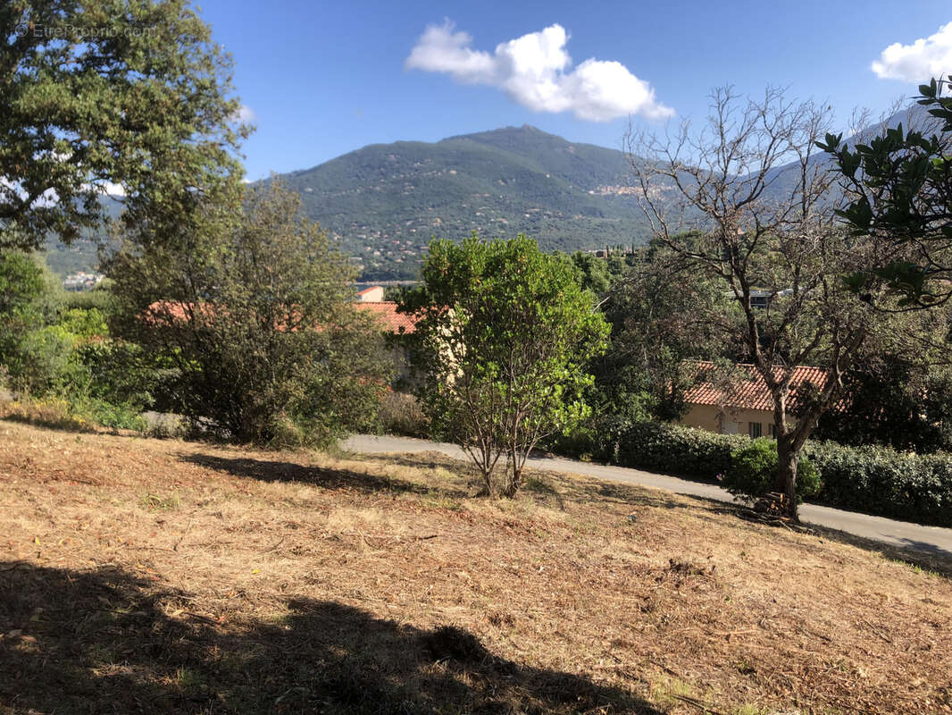 Terrain à PROPRIANO