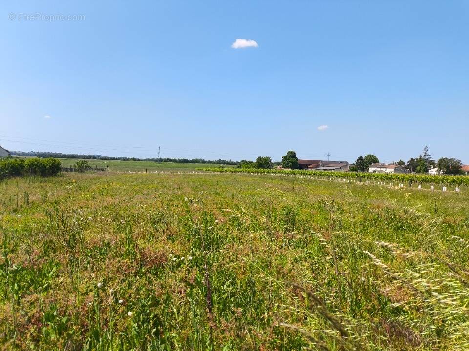 Terrain à SAINTE-LHEURINE