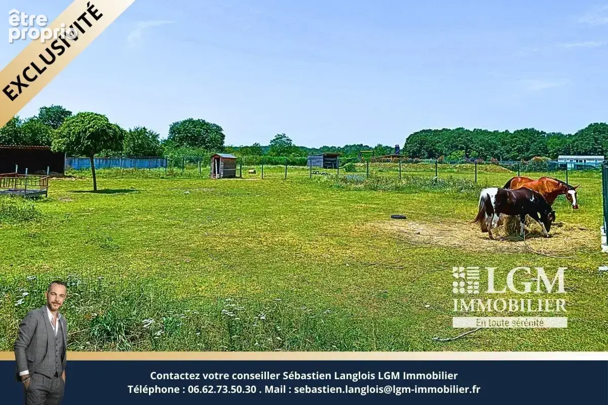 Plaisance du Touch, Propriété avec maison de 120m2 et bâtiment de 380m2 sur 1,59 hectare - photo 12