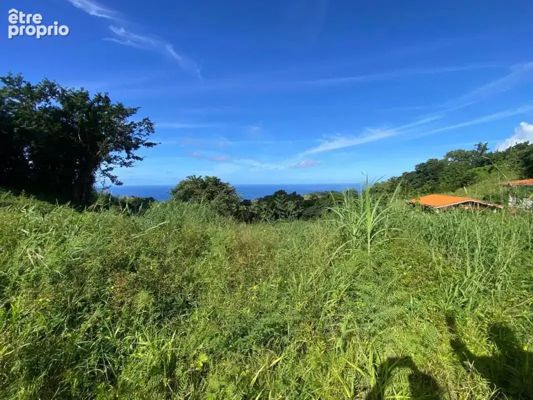 Terrain à LE MORNE-VERT