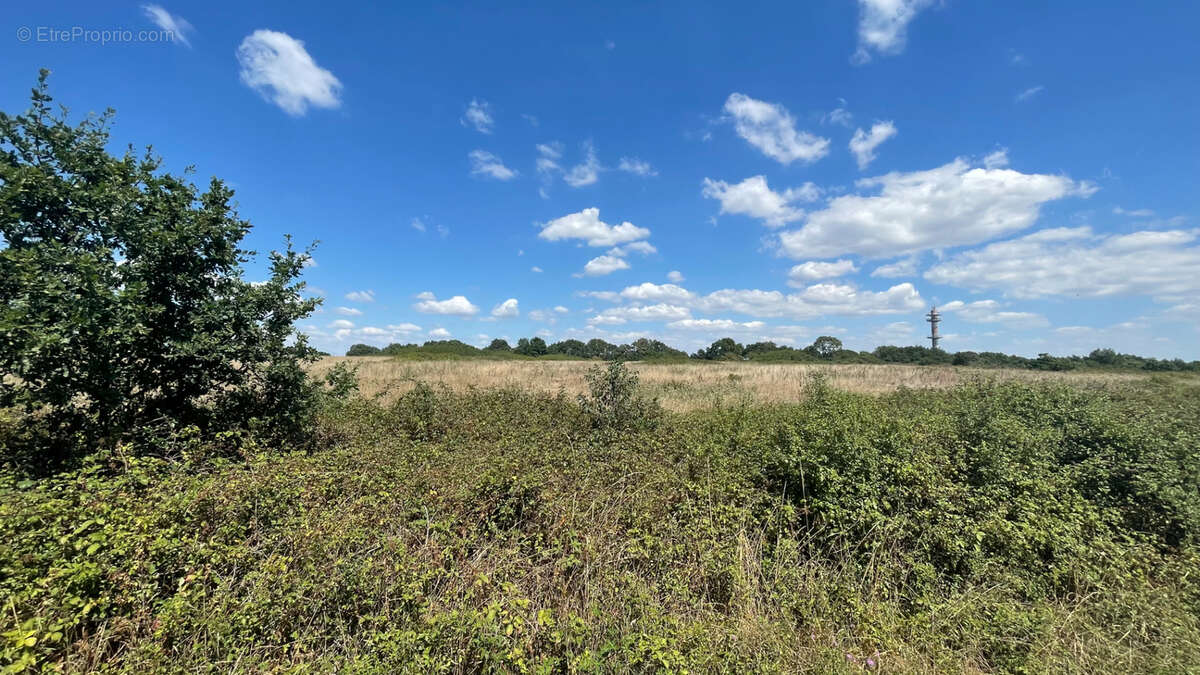 Terrain à SAINT-CHRISTOPHE-DU-LIGNERON