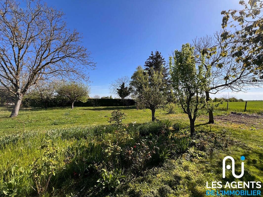 Terrain à CHARSONVILLE